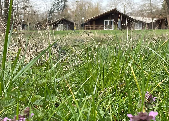 Camping De La Chalaronne