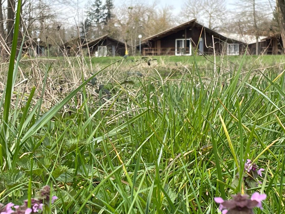 Campingplatz De La Chalaronne *